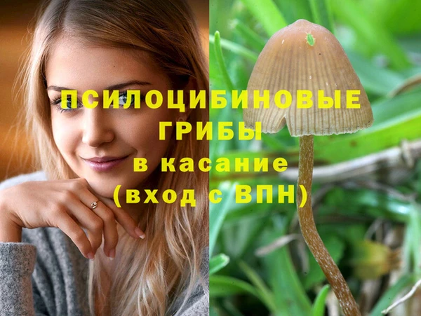 PSILOCYBIN Богородск