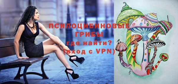 PSILOCYBIN Богородск