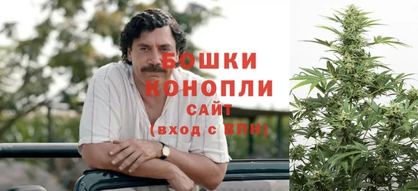 PSILOCYBIN Богородск