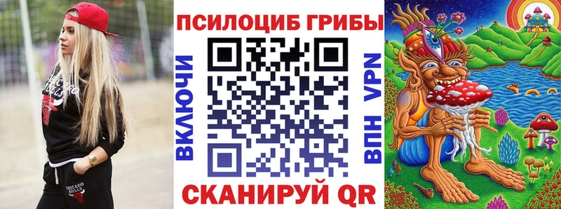 где продают наркотики  Бологое  ссылка на мегу зеркало  Псилоцибиновые грибы Psilocybine cubensis 