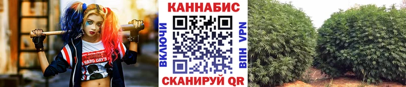 Бошки Шишки индика  Бологое 